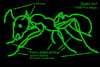 ant